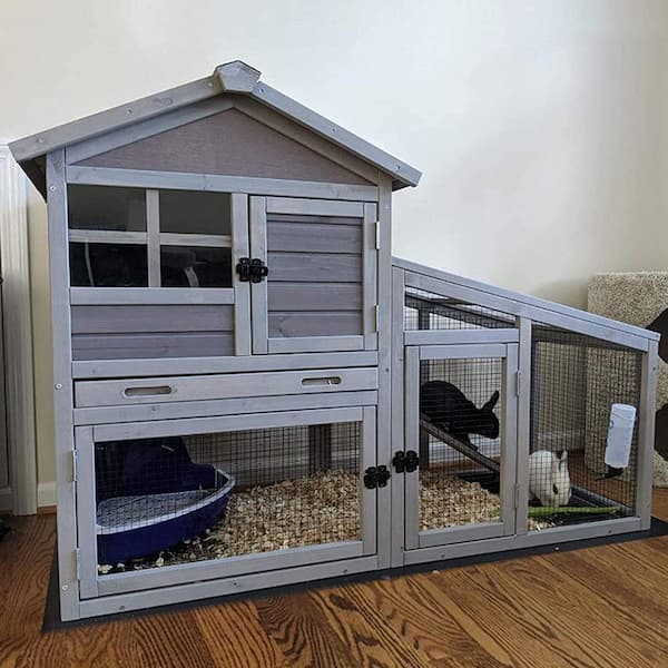 Small Fish Tanks