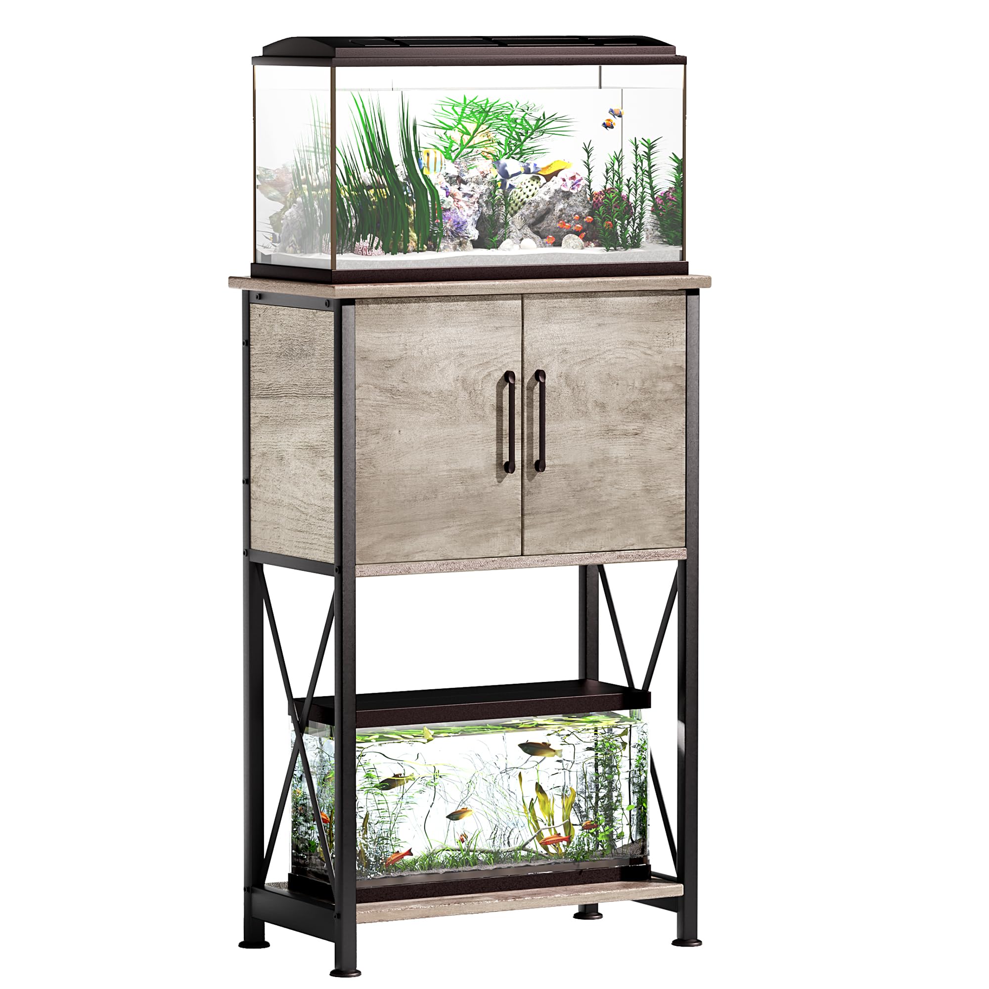 Neon Tetra Care