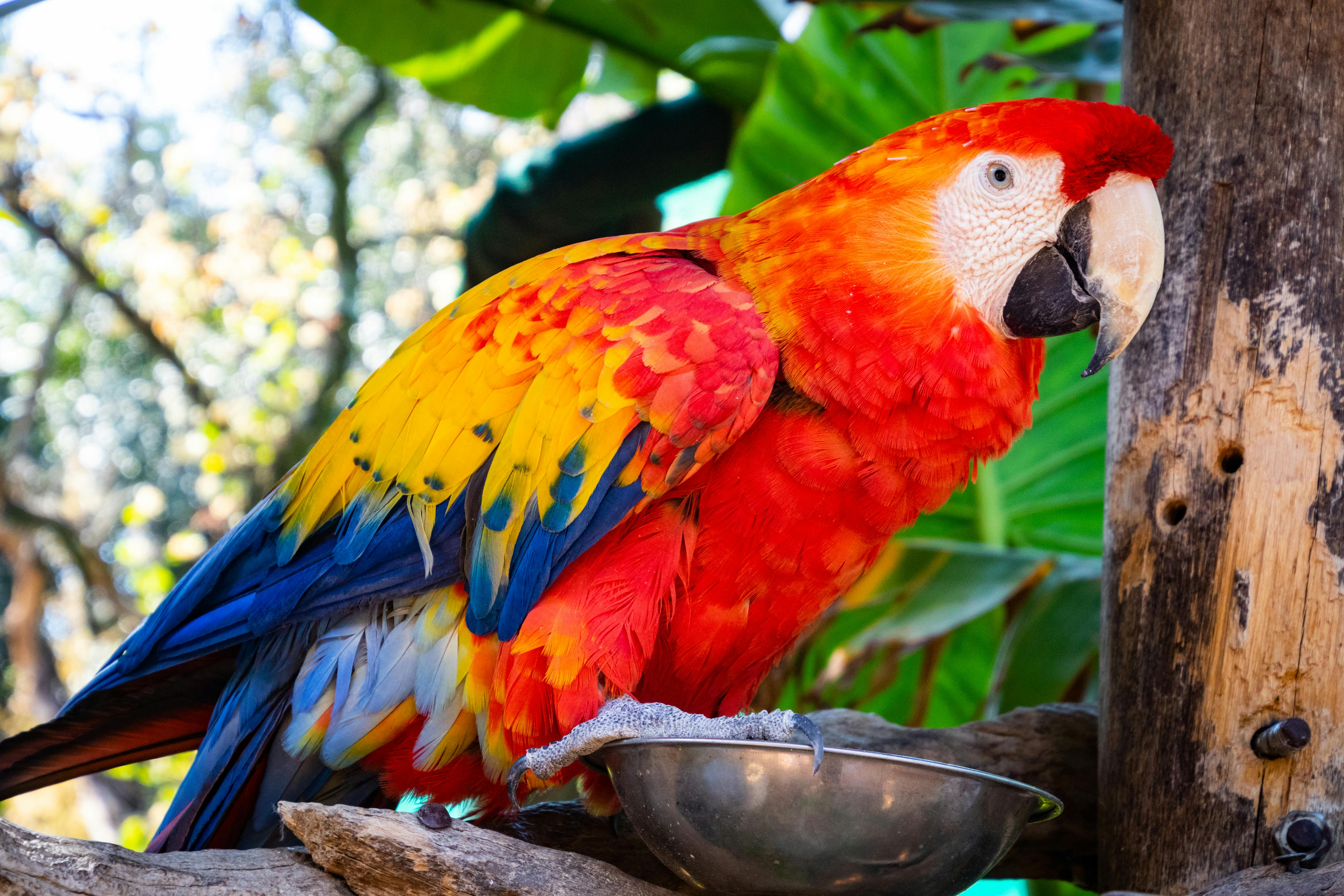 Explore Effective Foods for Plecos: Smart Diet Solutions in 2025