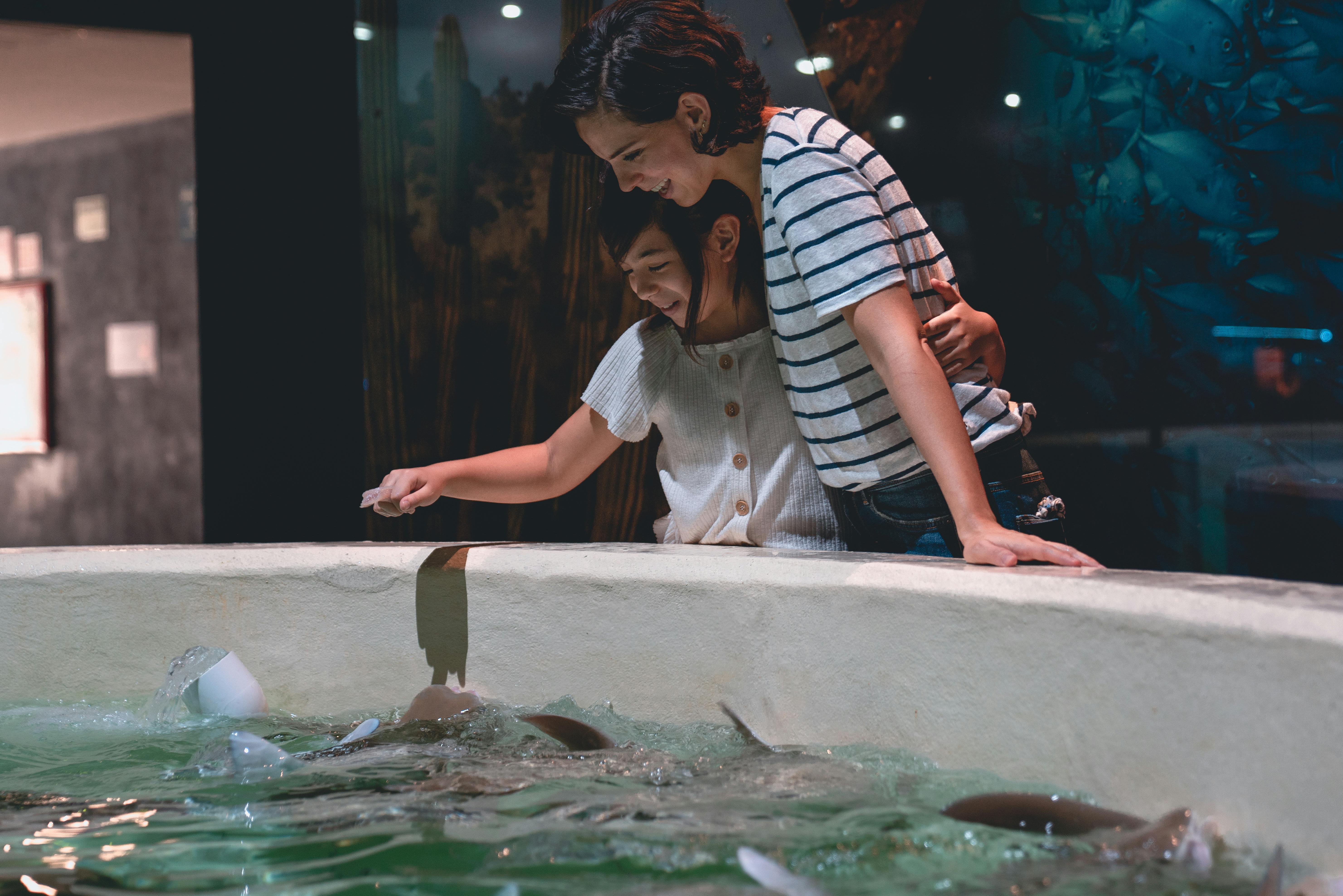 Top 10 Ways to Explore Koi Fish Cost in 2025: Expert Tips to Optimize Your Purchase