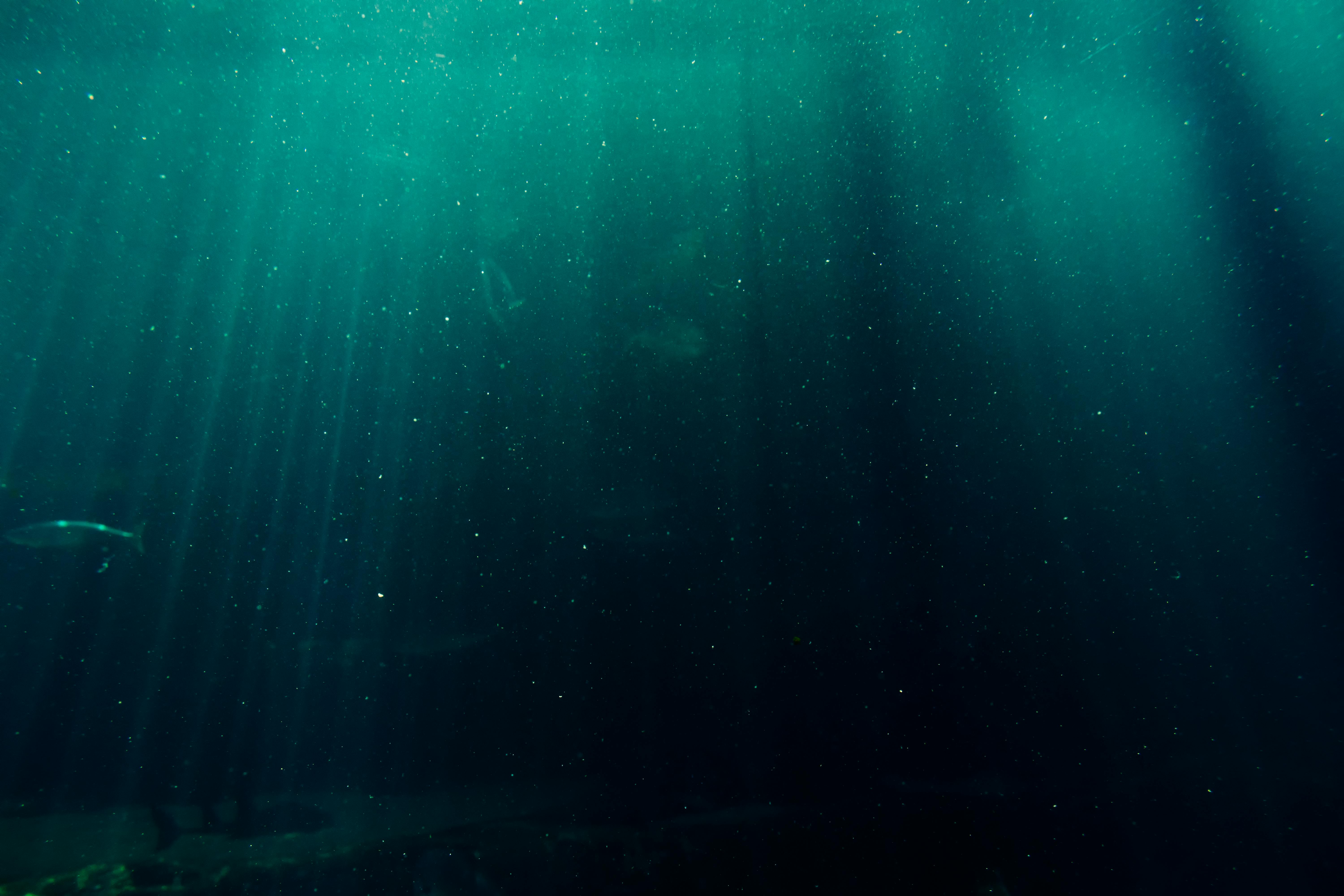 Top 5 Effective Ways to Maintain Your Small Saltwater Tank in 2025