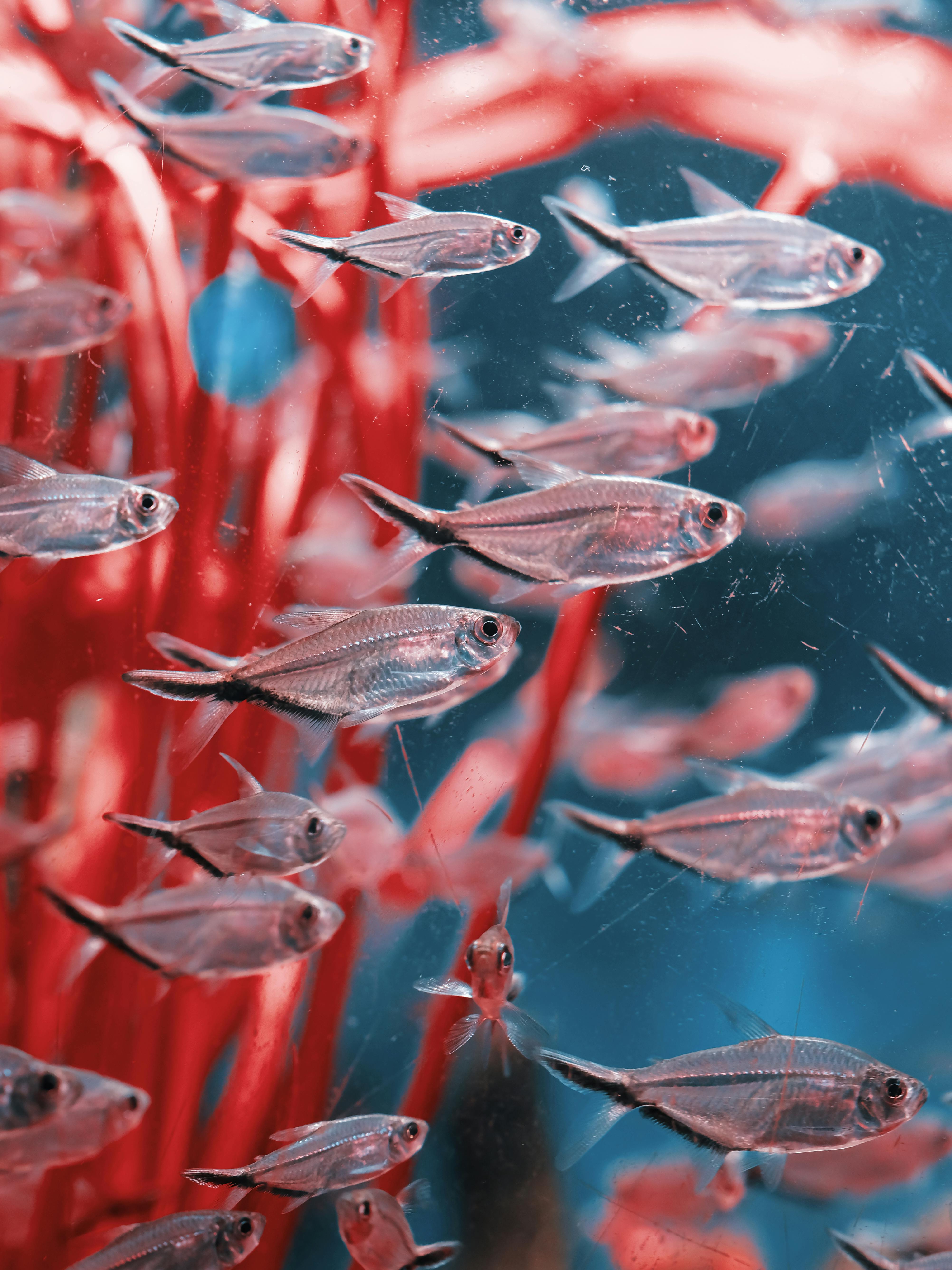 Best 5 Practical Options for Your 30 Gallon Fish Tank Setup in 2025
