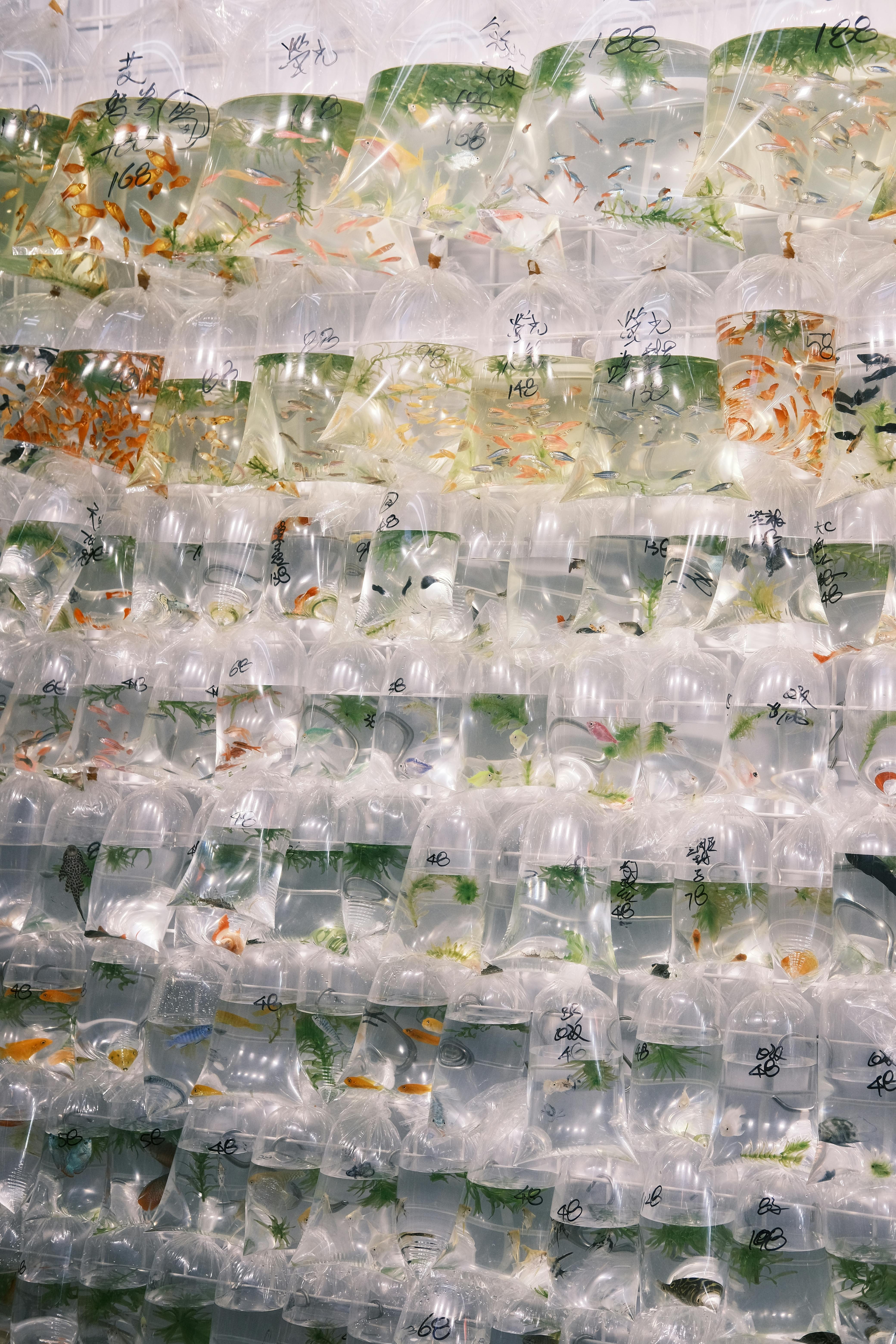 Smart Ways to Optimize Your Ocean Farm in 2025