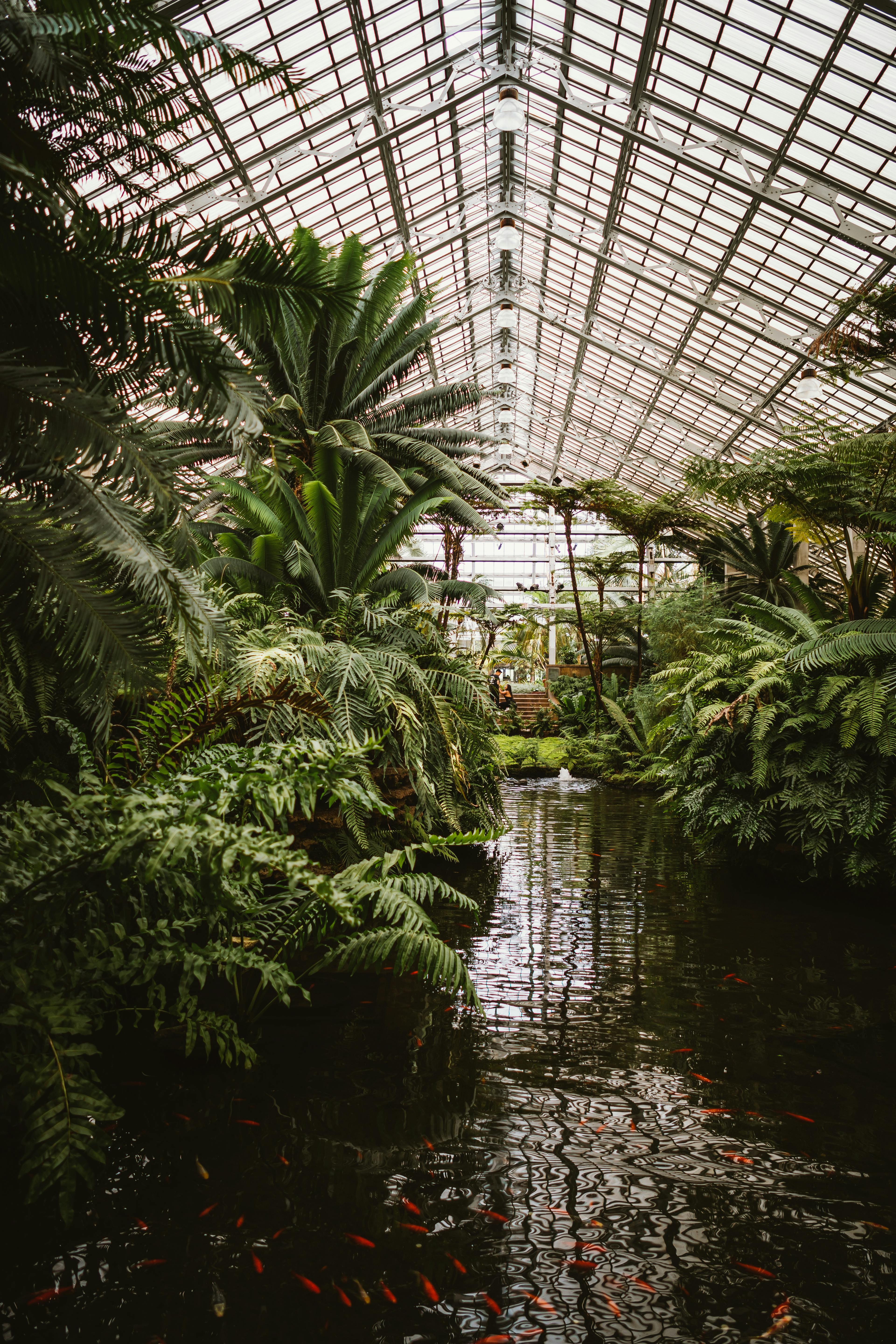 Smart Ways to Select Effective Large Fish Tanks for Your Home in 2025