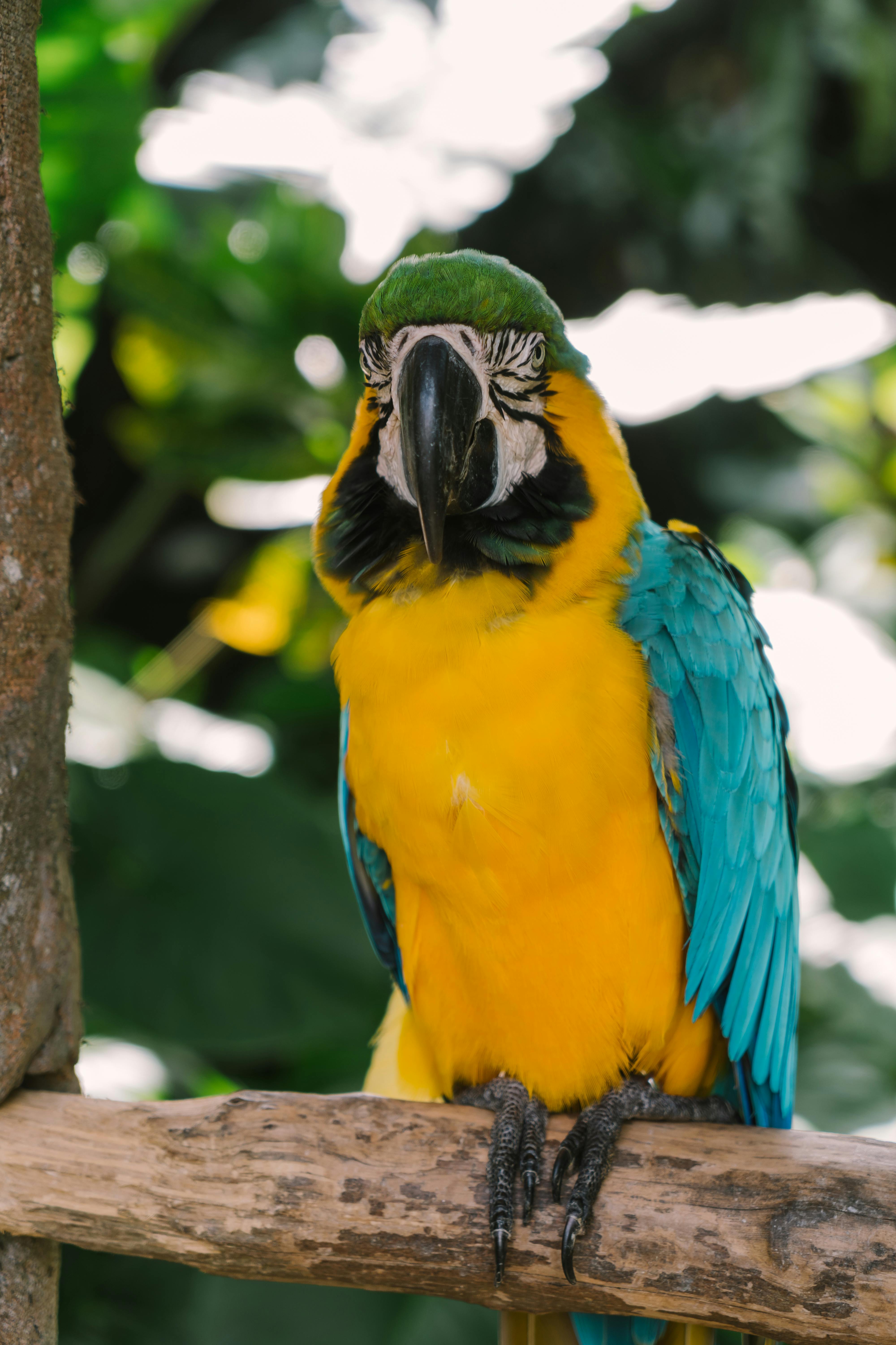 Effective Ways to Enhance Your Fish Pet Store Experience in 2025