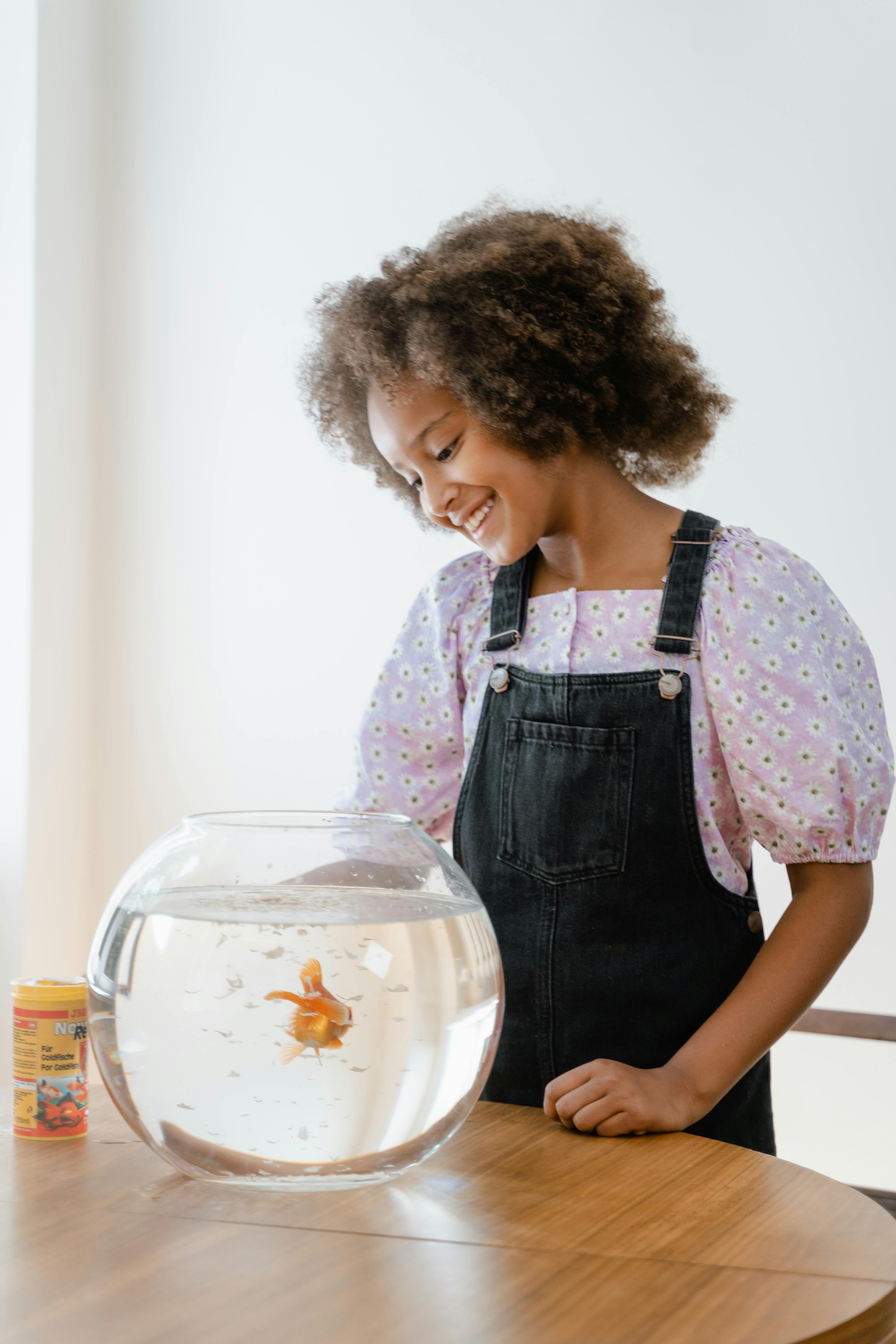 Best 5 Solutions for Improving Your Fish Tank Filter in 2025